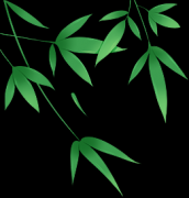端午安康 | 石狮现代医院端午不放假，