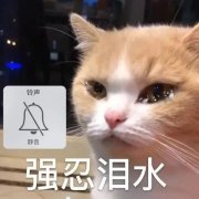 房事从十几分钟到三分钟...为啥时间越