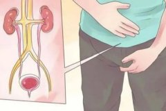丁丁长红点、尿痛...是炎症还是感染？