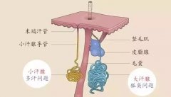 治疗腋臭的方法那么多，哪种方法能根